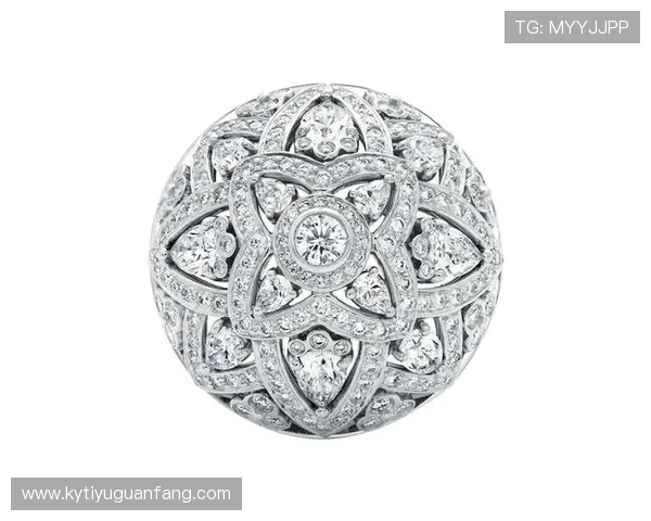 开云官网品牌历史与发展历程，深入了解奢华时尚的品牌故事与文化底蕴