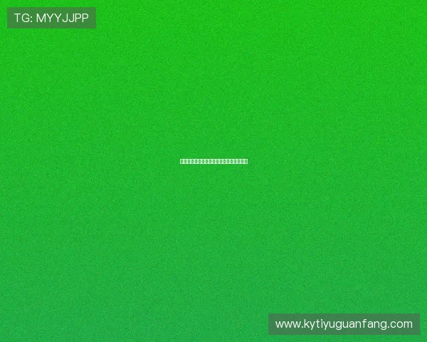 开云首页的设计理念与用户体验的深度探讨