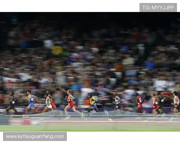 kb体育网页版操作流程详解新手快速上手体育竞猜与投注技巧全攻略